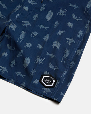 Sea Life Trunk 17