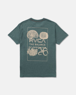 Natalus Short Sleeve Tee