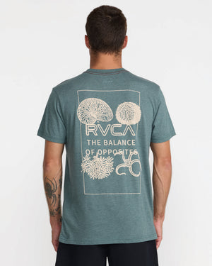 Natalus Short Sleeve Tee