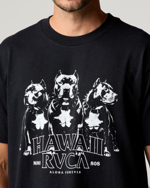 Pitt Short Sleeve Tee