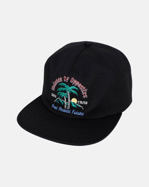 Frond Mural Snapback Hat