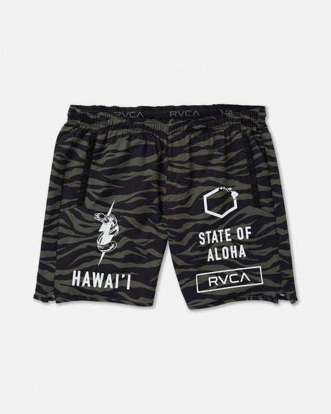n*n様 RVCA Hawaiian Surf Style ファンボード Hawaii Yogger Stretch 17