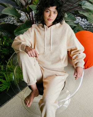 VA Logo Hoodie