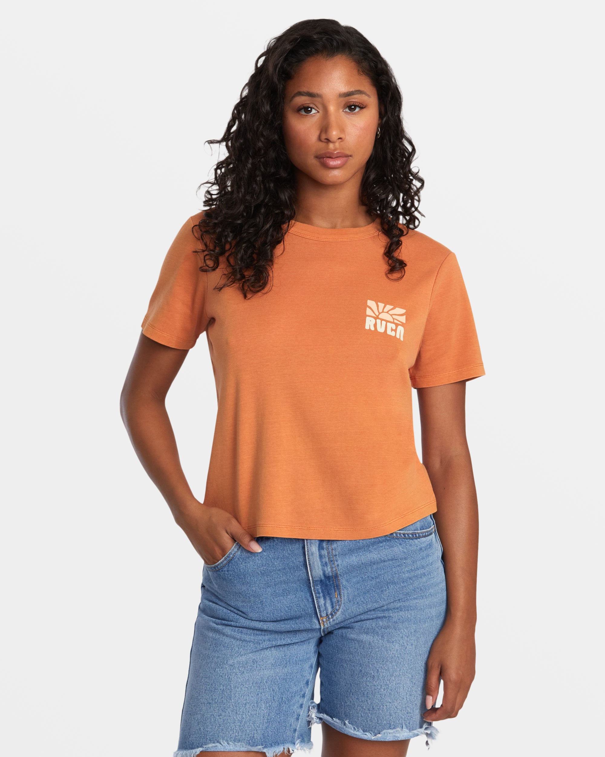 Daily Tee Tee - Terracotta | RVCA