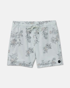 Barnes Elastic 17