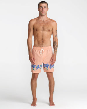 Barnes Elastic 17
