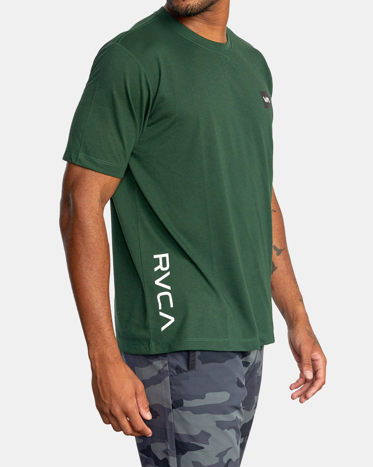 RVCA 2X Tee - Mountain View